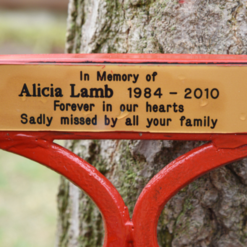 A bench and plaque on her family’s front lawn. 